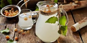 Квас з березового соку - прості рецепти домашнього березового квасу